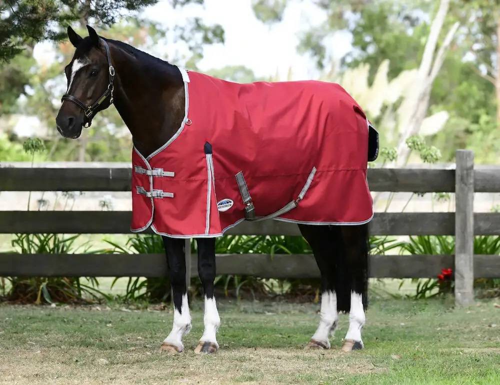 Weatherbeeta Comfitec Classic Standard Neck Lite Plus Turnout