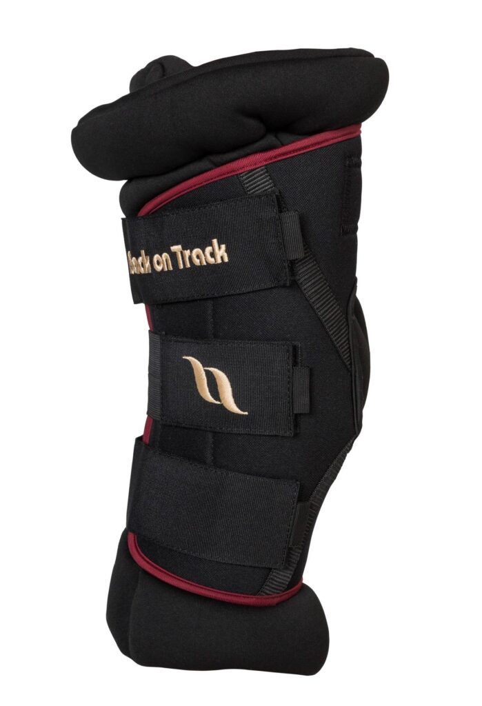 Back On Track Royal Padded Hock Boots Deluxe With Holes