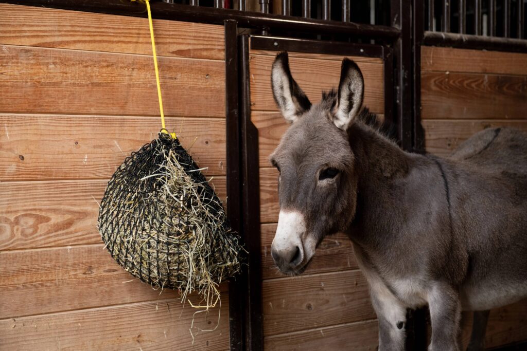 Texas Haynet Extra Small Hay Net