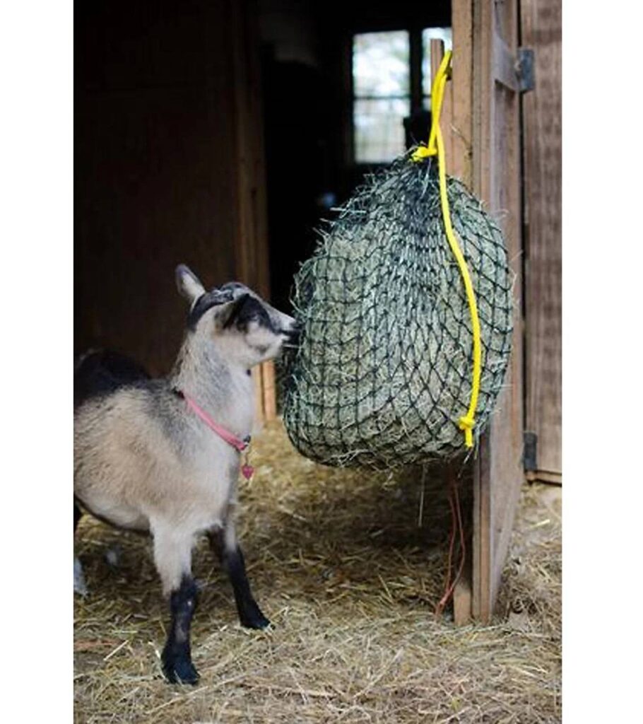 Texas Haynet Economy Hay Net