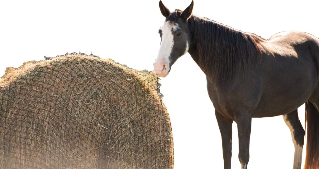 Texas Haynet Round Bale Hay Net
