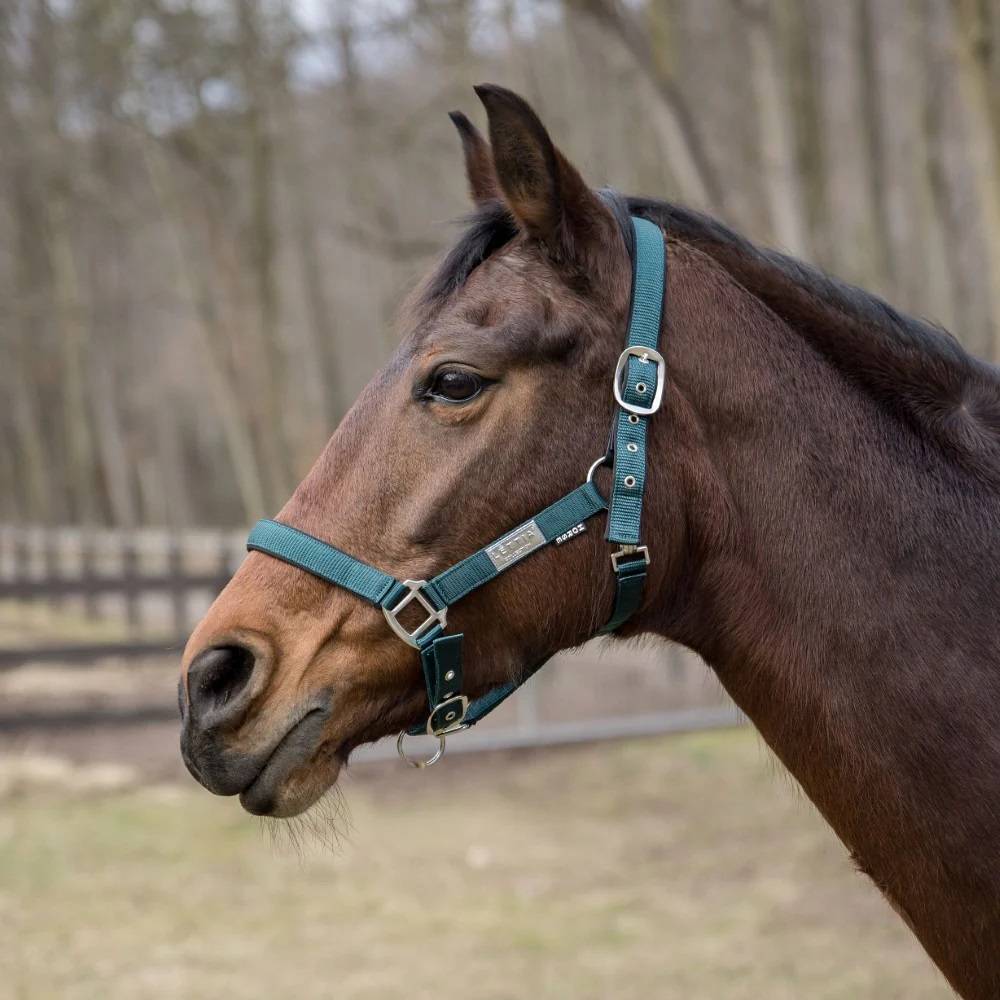 Lettia Equifine Breakaway Halter
