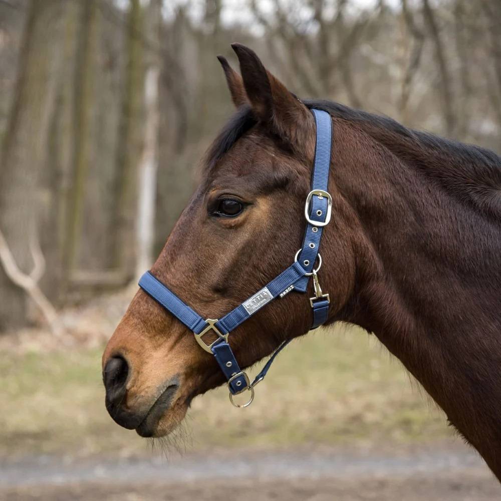 Lettia Equifine Breakaway Halter