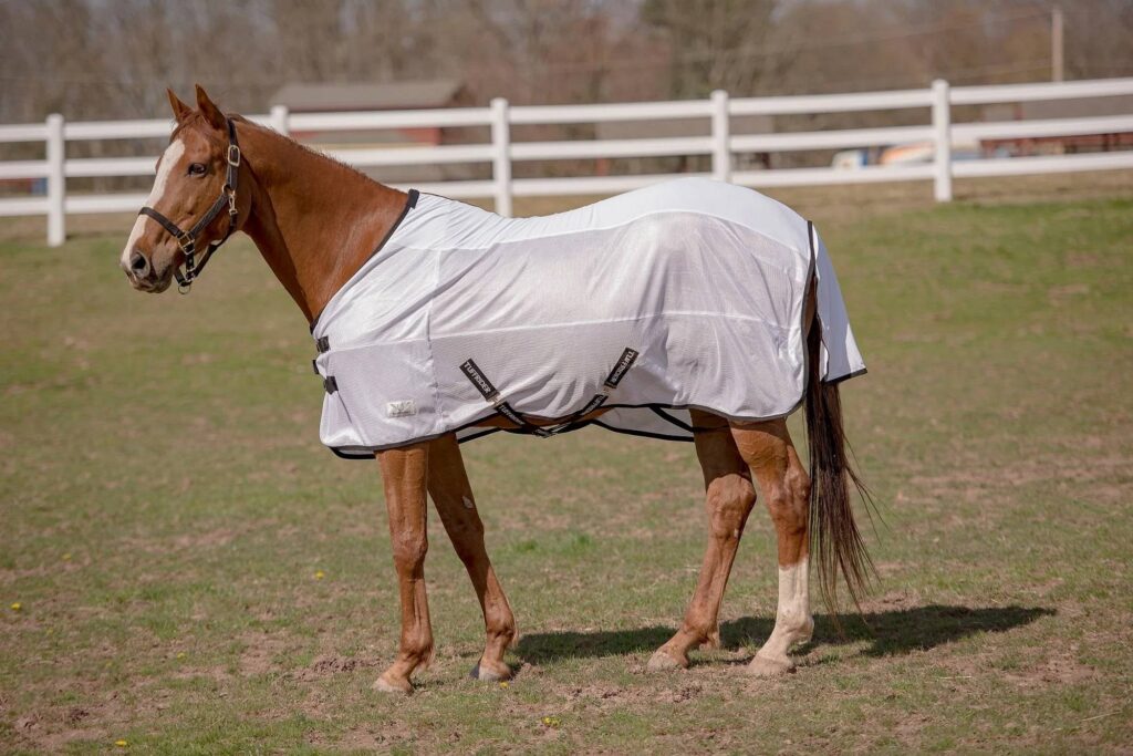 Tuffrider Sport Coolmax/Mesh Blend Standard Neck Fly Sheet
