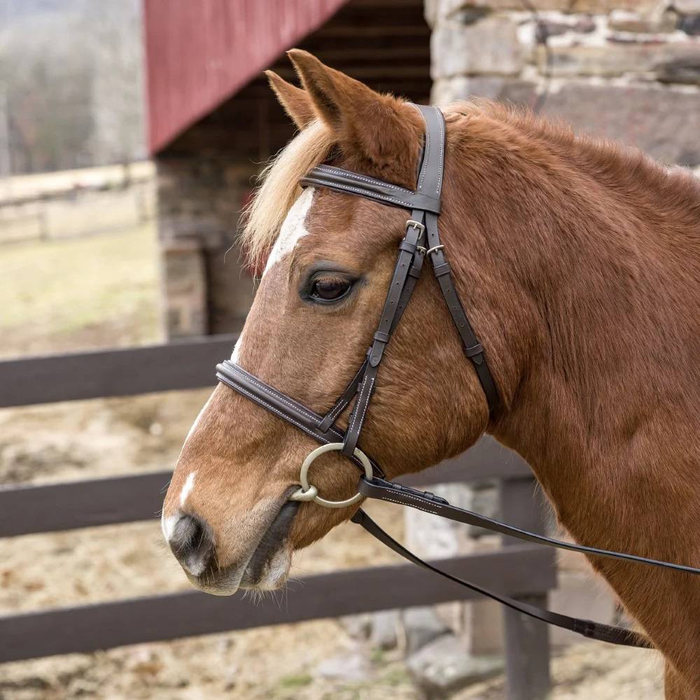 Henri De Rivel Pro Mono Crown Padded Bridle