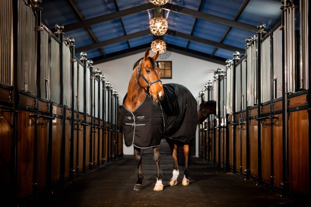 Rambo Stable Blanket (100g Lite)