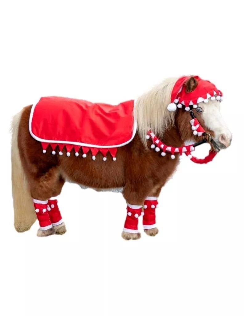 Tough-1 Mini 5 Piece Western Santa Set