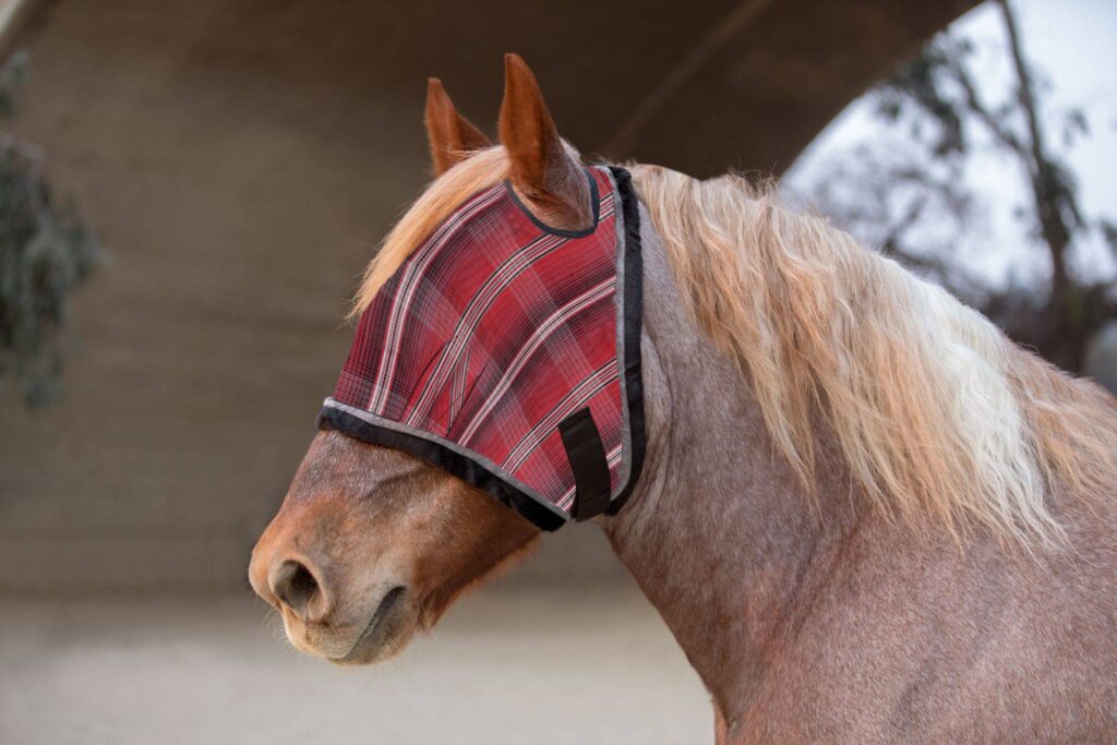 Kensington 73% Uv Fly Mask With Web Trim – Open Ear Design With Forelock Freedom
