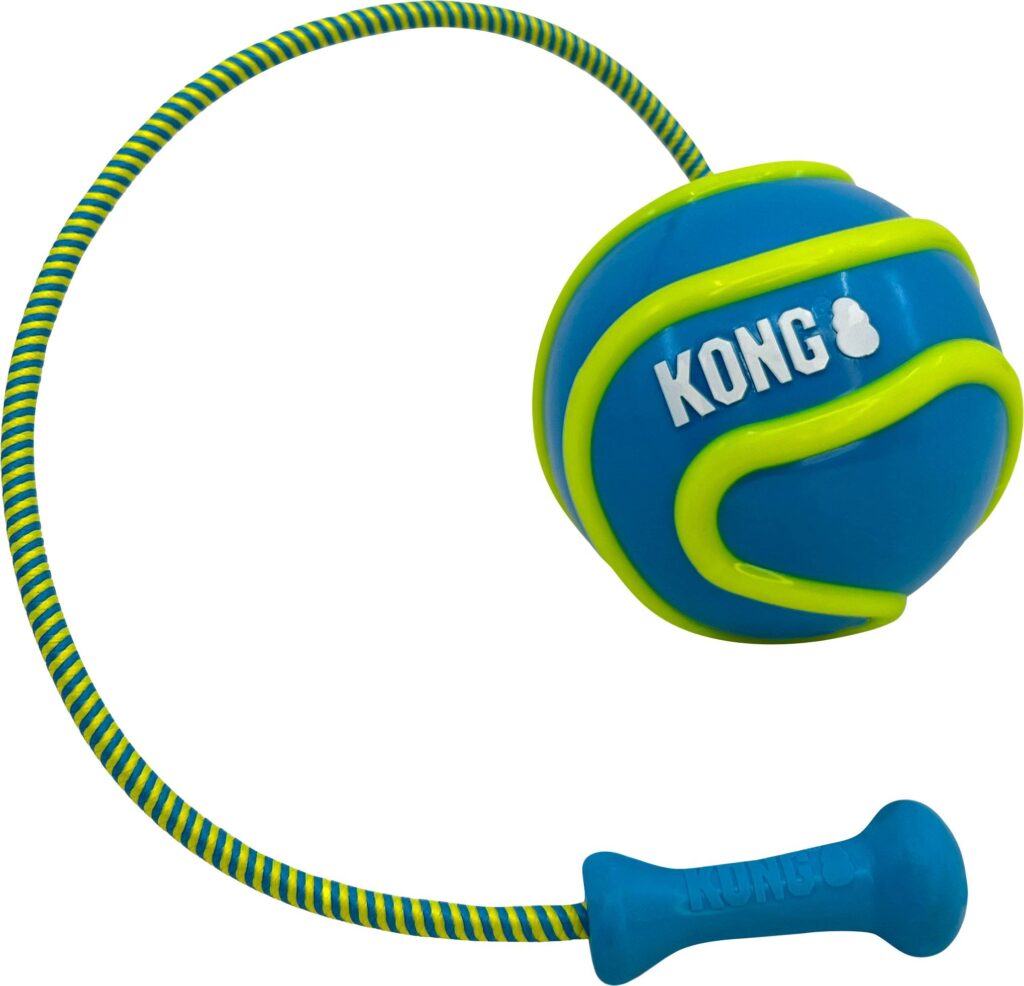 Kong Bunji High-Viz Ball Assorted