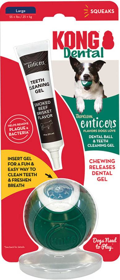 Kong Dental Ball