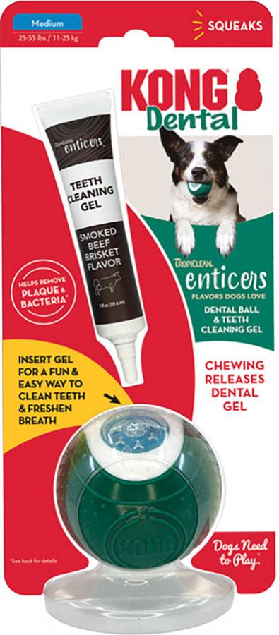 Kong Dental Ball