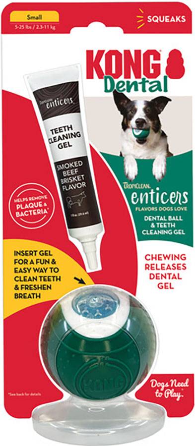 Kong Dental Ball