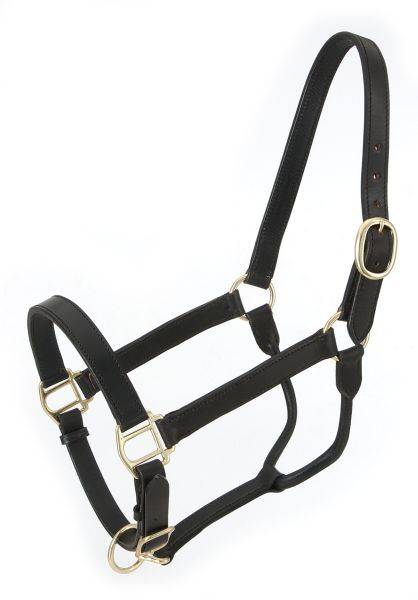 Royal King Leather Stable Halter