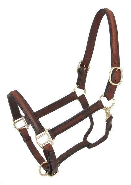 Royal King Raised Leather Halter