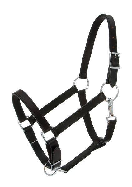 Royal King Draft Horse Stable Halter