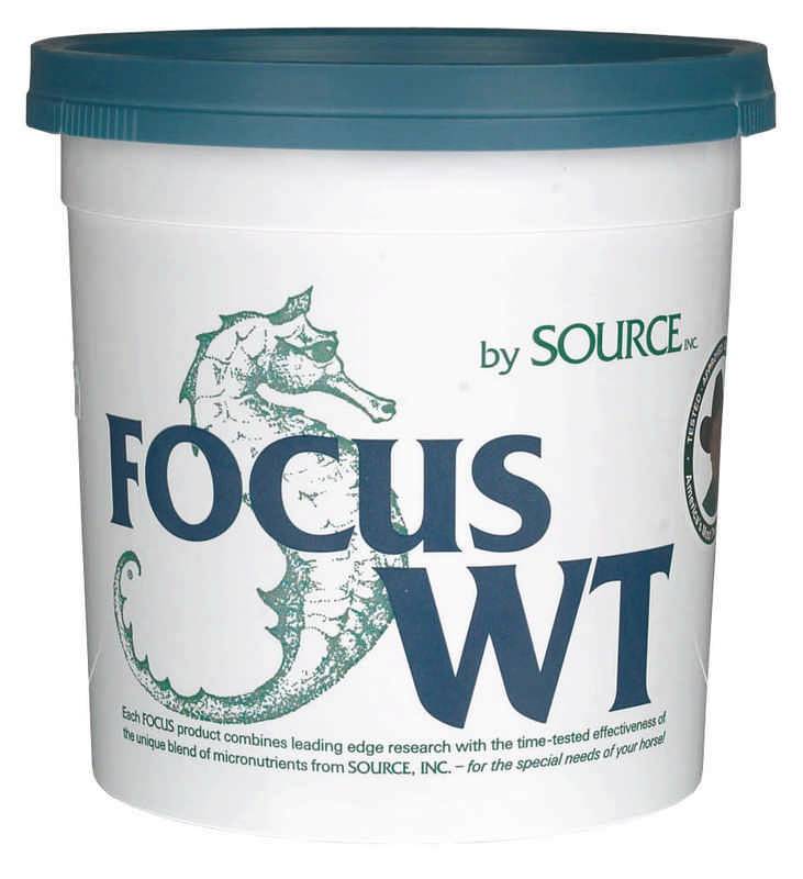 Focus Wt Powder
