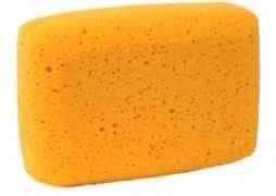 All Purpose Sponge