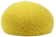 Honeycomb Tack Sponge