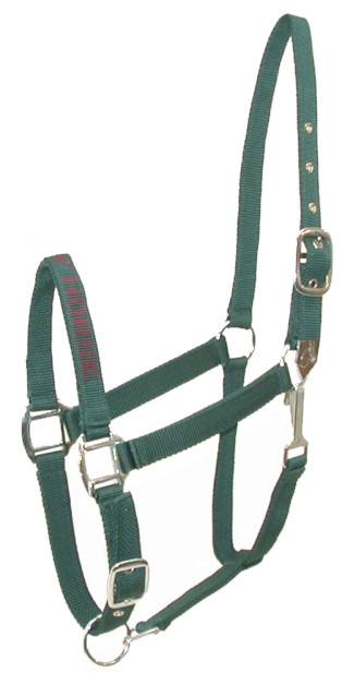 Gatsby I Love My Horse Nylon Halter