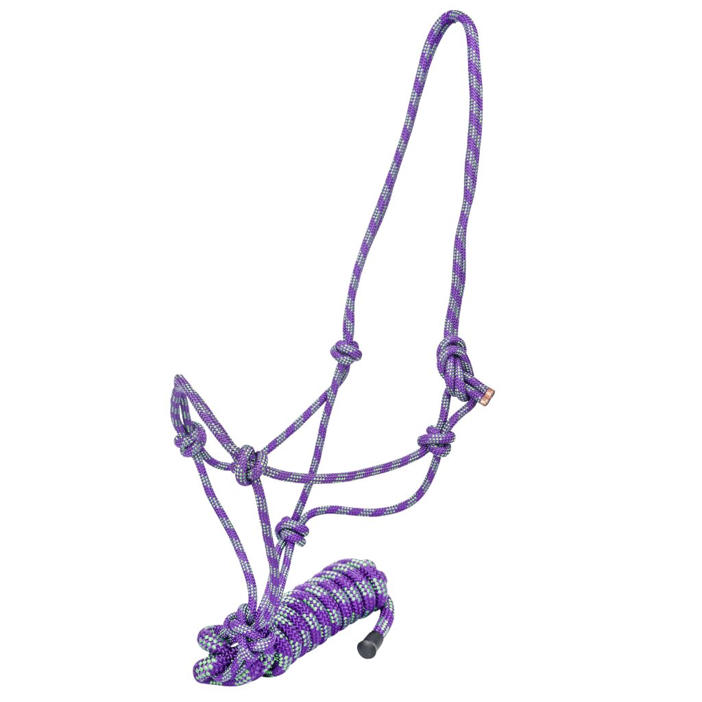 Gatsby Classic Cowboy Halter With Lead