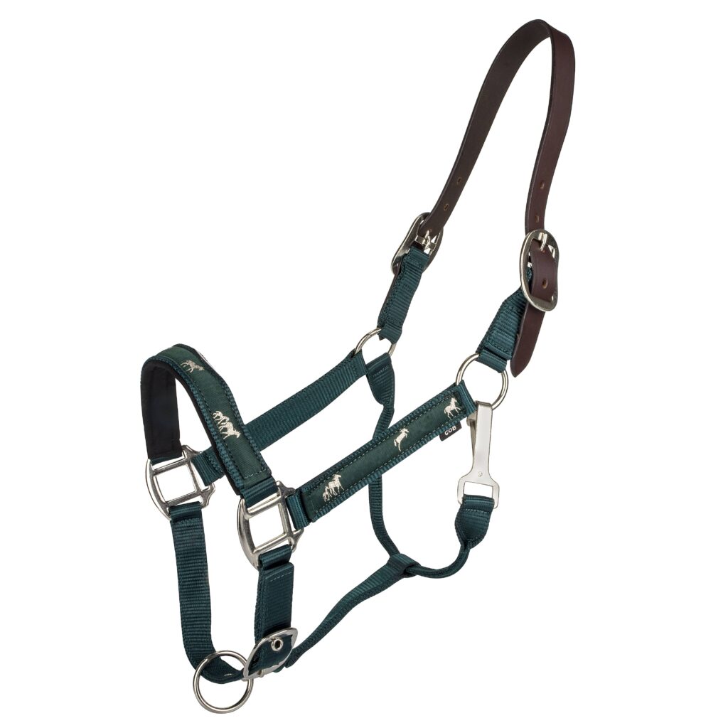 Gatsby Nylon Breakaway Halter With Horse Overlay & Snap