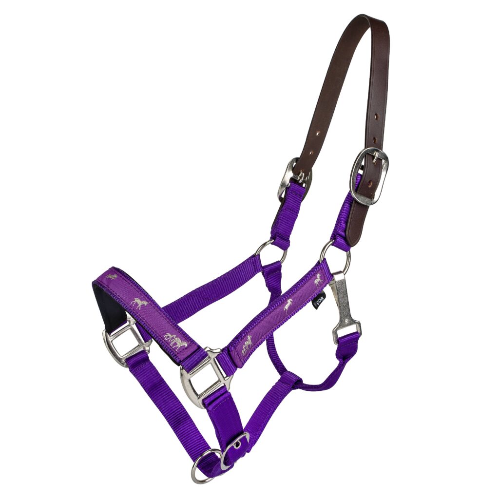 Gatsby Nylon Breakaway Halter With Horse Overlay & Snap
