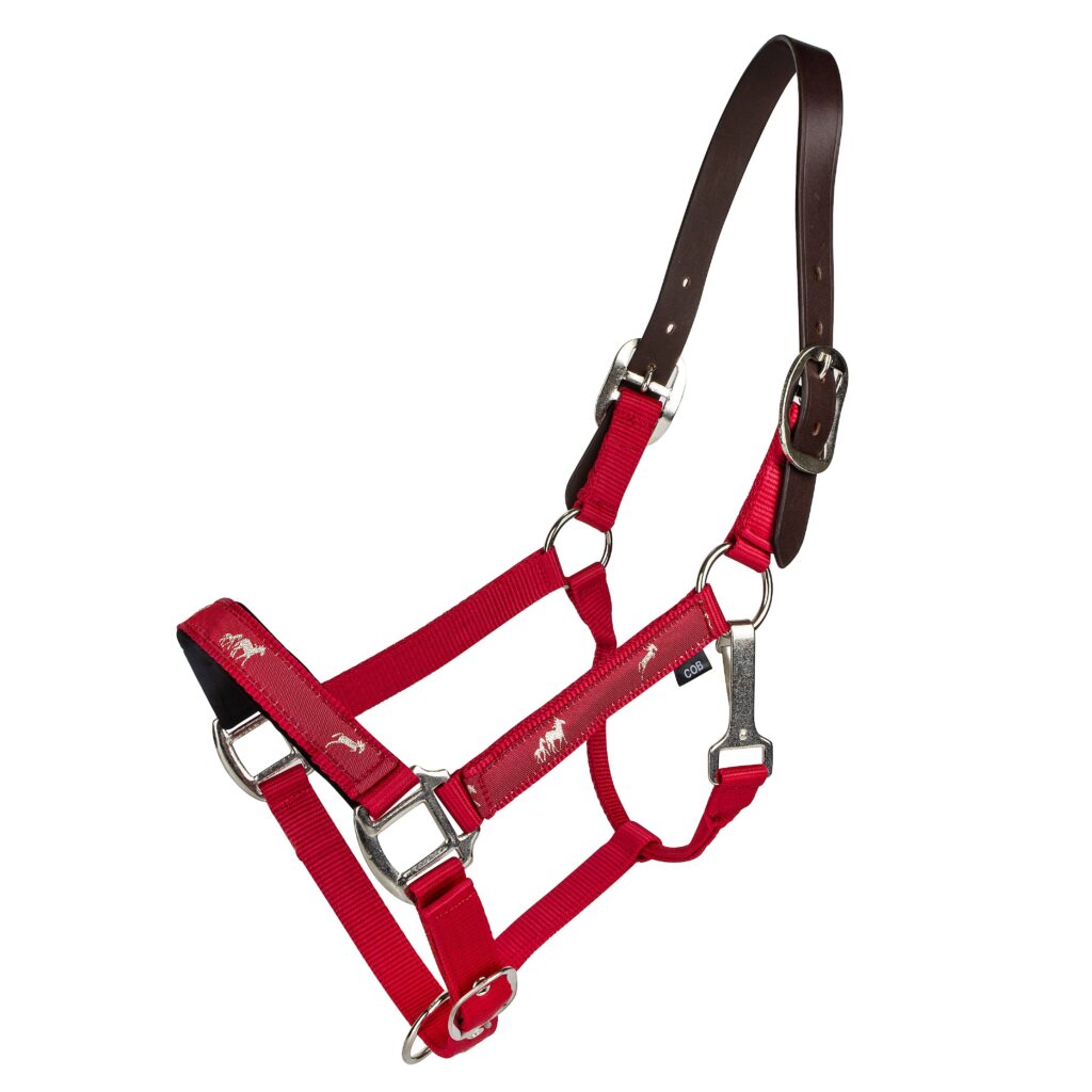 Gatsby Nylon Breakaway Halter With Horse Overlay & Snap