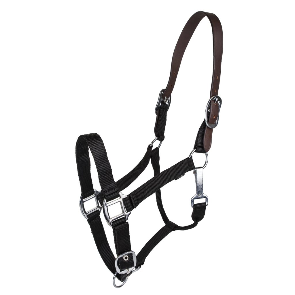 Gatsby Classic Nylon Breakaway Halter With Snap