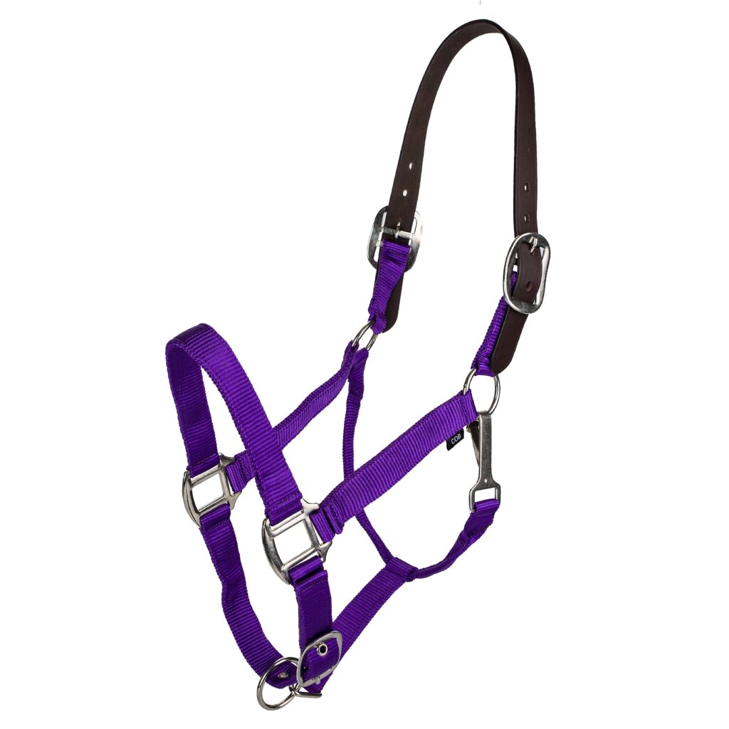 Gatsby Classic Nylon Breakaway Halter With Snap