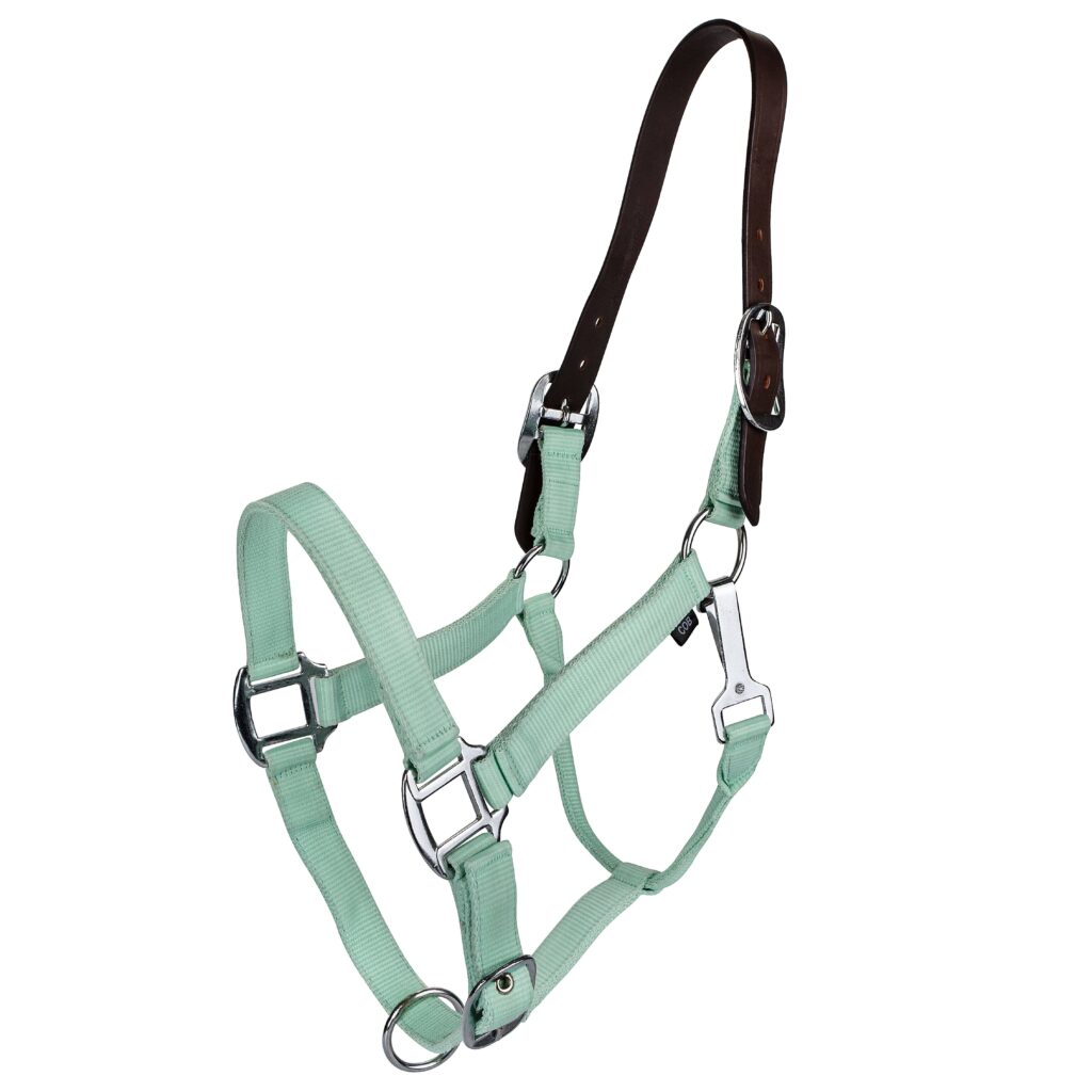 Gatsby Classic Nylon Breakaway Halter With Snap