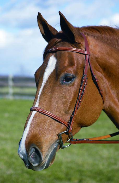 Henri De Rivel Pro Fancy Raised Bridle With Laced Reins
