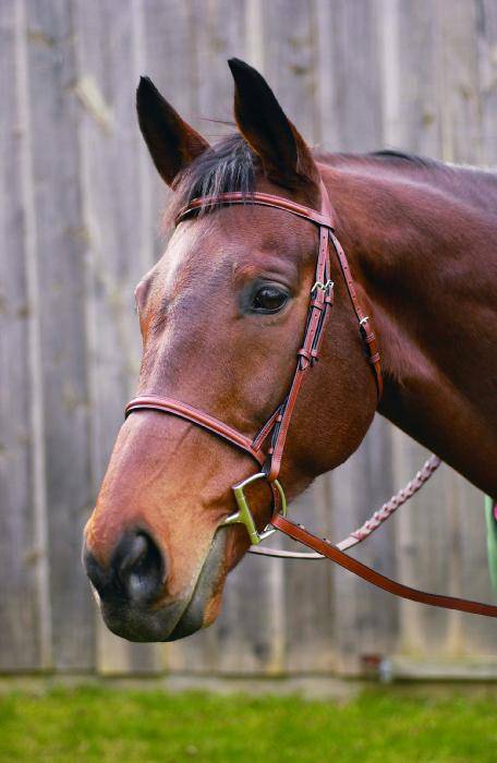 Henri De Rivel Advantage Plain Raised Snaffle Bridle With Laced Reins
