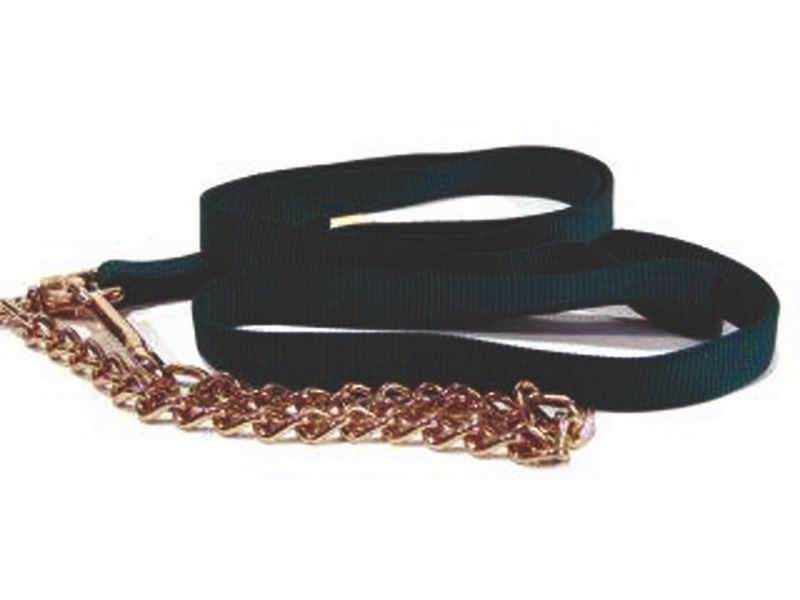 Hamilton Nylon Large Animal Lead With Chain