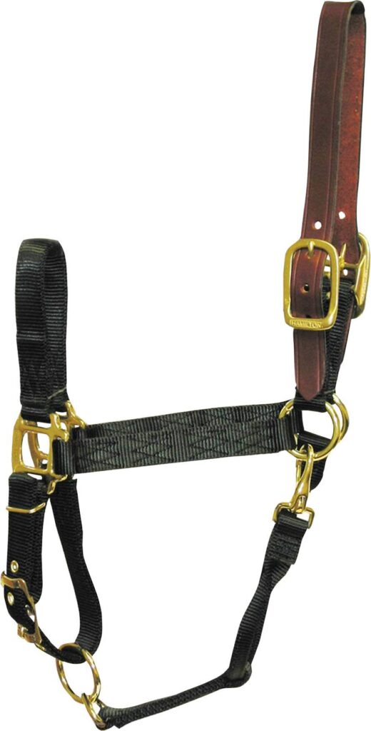 Hamilton Adjustable Halter With Leather Crown