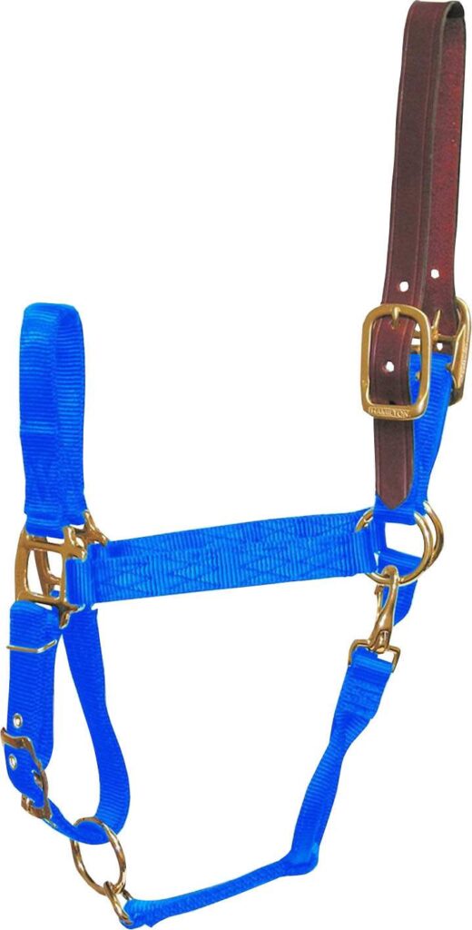 Hamilton Adjustable Halter With Leather Crown