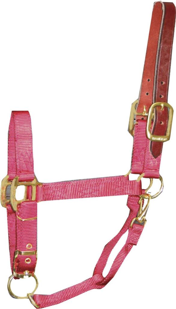 Hamilton Adjustable Halter With Leather Crown