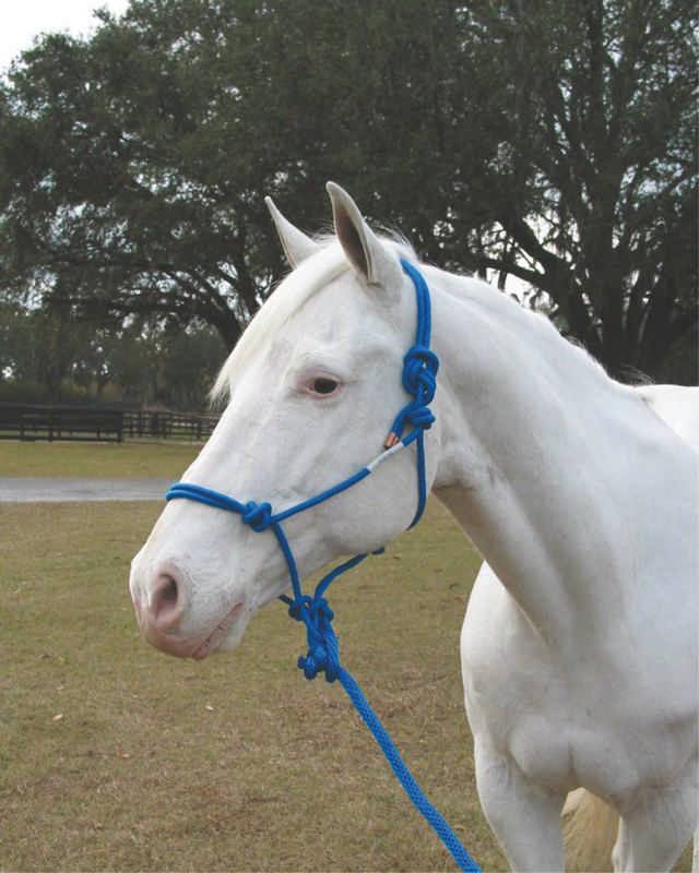 Hamilton Knotted Rope Halter With Matching Lead For Horses
