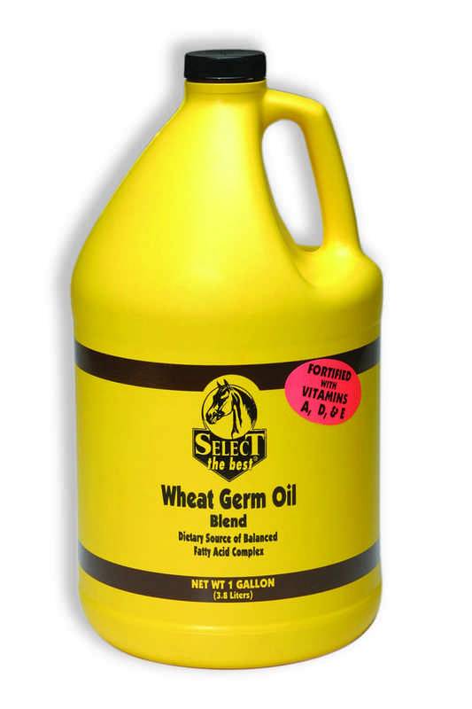 Wheat Germ Oil Blend Supplement For Horses