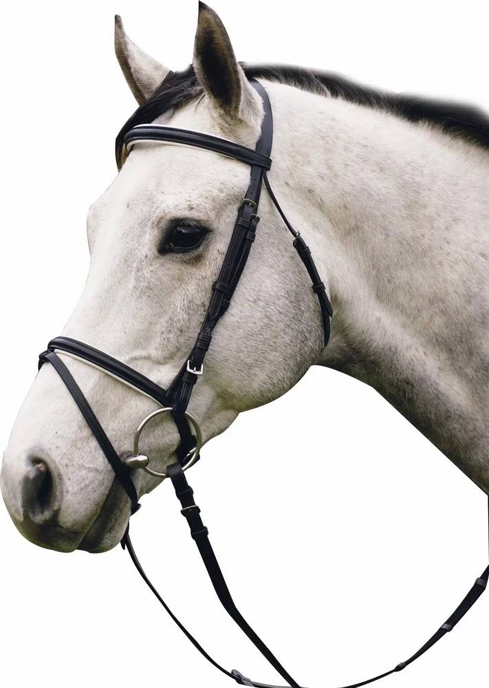 Henri De Rivel Pro Dressage Bridle With Flash And Web Reins