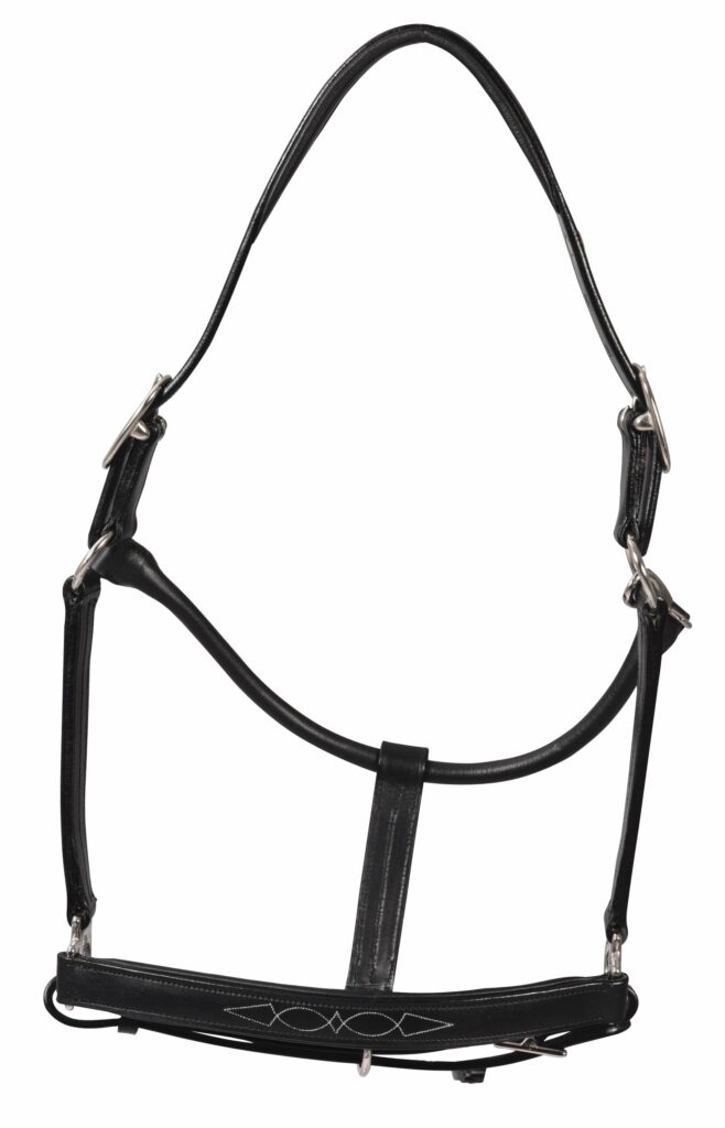 Henri De Rivel Pro Fancy Padded Rolled Throat Triple Stitched Halter