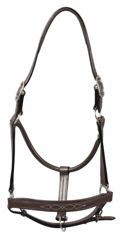 Henri De Rivel Pro Fancy Padded Rolled Throat Triple Stitched Halter