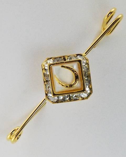 Finishing Touch Horseshoe Stock Pin With Crystals