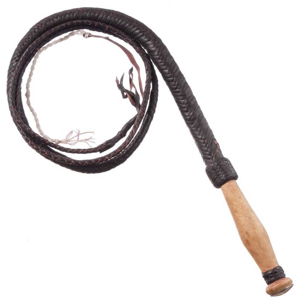 Tough-1 Swivel Handle Hand Braided Bull Whip