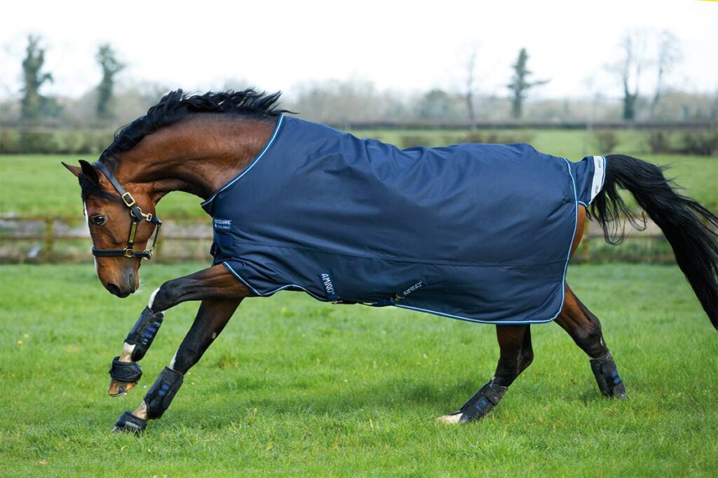 Amigo Bravo 12 Original Turnout Blanket (400g Heavy)