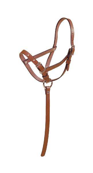 Tory Leather Leather Riveted Slip Foal Halter