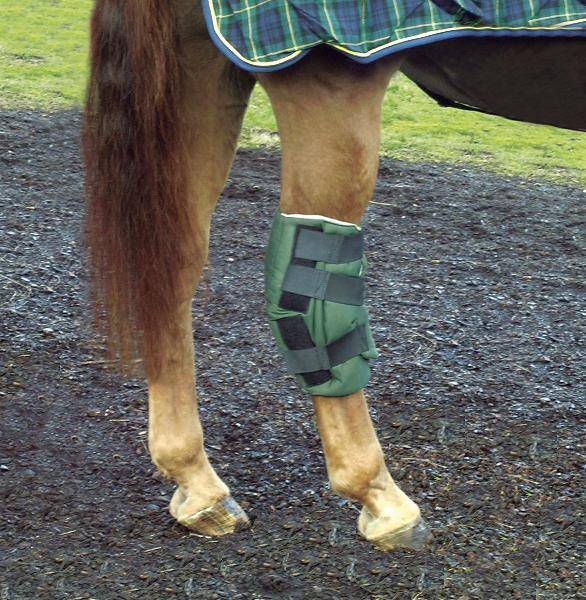 Cashel Boomer’S Hock Sock