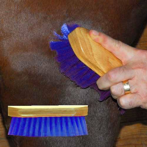 Pony Brush
