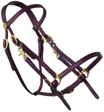 Tucker Halter Bridle Lite