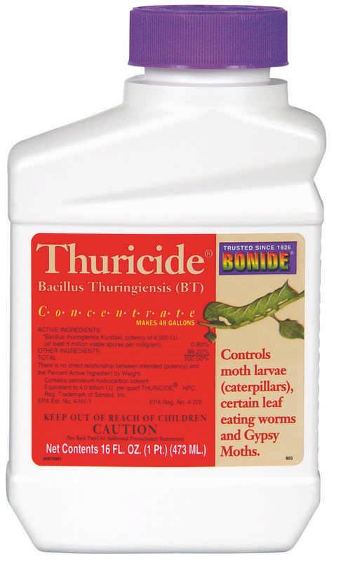 Thuricide Bt Concentrate