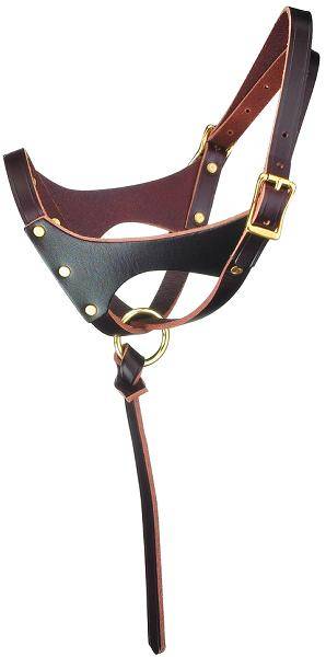 Perri’S “Grow With Me” Leather Foal Halter